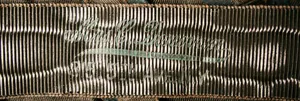 Label van Catherine Donovan